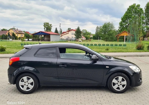 Kia Pro_cee'd cena 17900 przebieg: 170000, rok produkcji 2008 z Biała Podlaska małe 137
